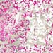 Painted Damask